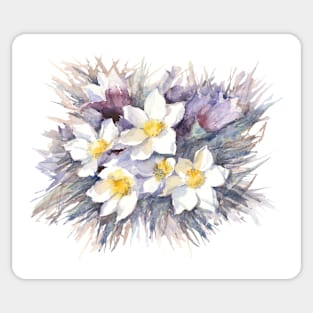 Pulsatilla Pratensis. Watercolor Illustration. Sticker